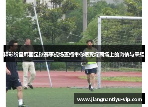 精彩纷呈韩国足球赛事现场直播带你感受绿茵场上的激情与荣耀