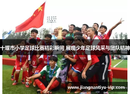 十堰市小学足球比赛精彩瞬间 展现少年足球风采与团队精神